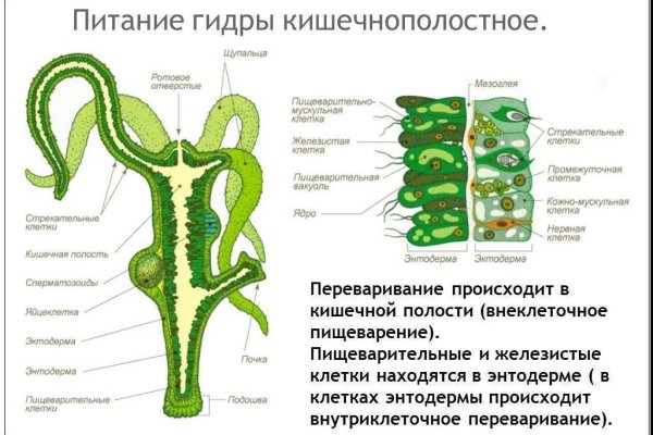 Кракен маркетплейс закрыли