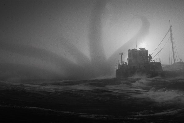 Kraken tor marketplace