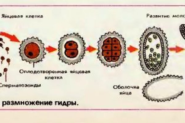 Как вывести деньги с кракена