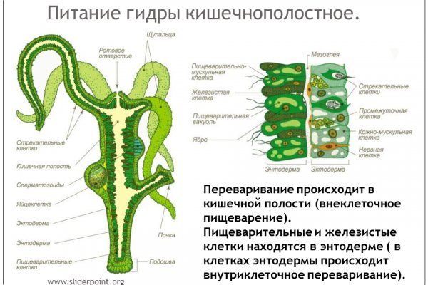 Кракен даркнет ссылка зеркало