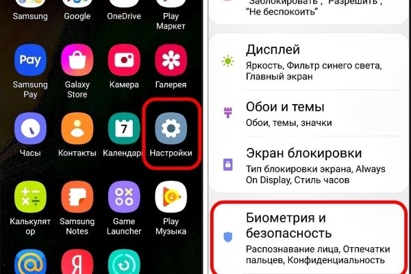 Гидра и кракен