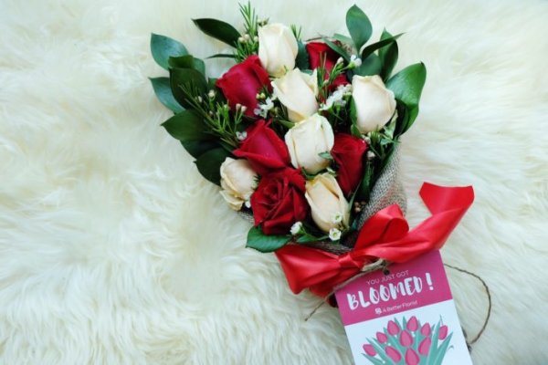 Кракен сегодня сайт зеркало